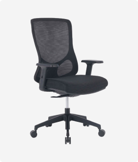 Ergonomic Chair