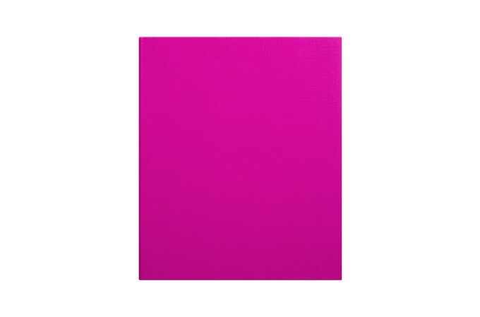 PE Binder A4 2 Ring 25mm Pink