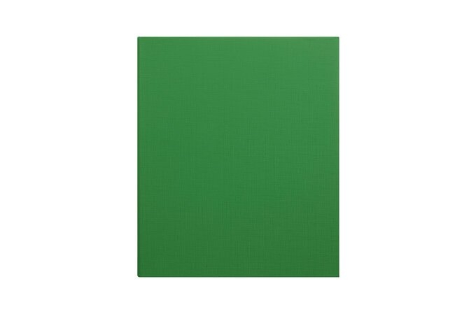 PE Binder A4 2 Ring 25mm Green